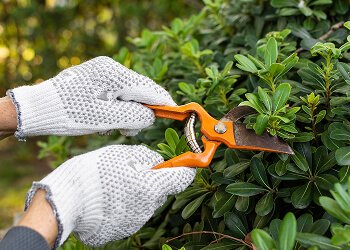 Garden
                                               of Maintenance